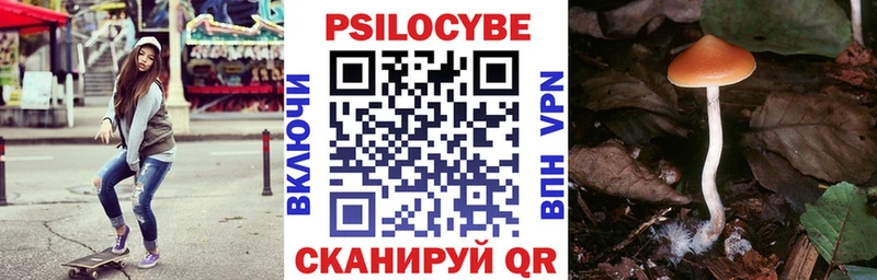 Псилоцибиновые грибы Cubensis  Кулебаки 