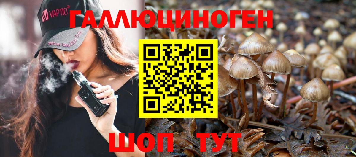 Галлюциногенные грибы ЛСД Кулебаки